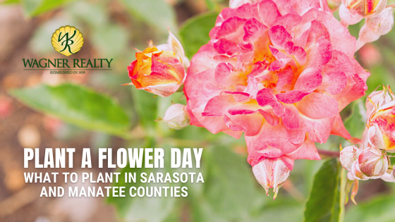 Planting om Bradenton